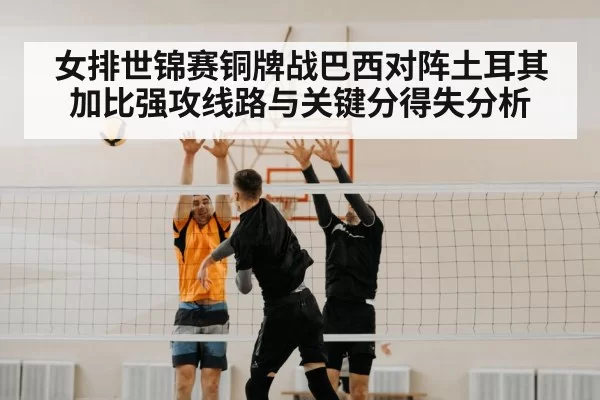 volleyball block net